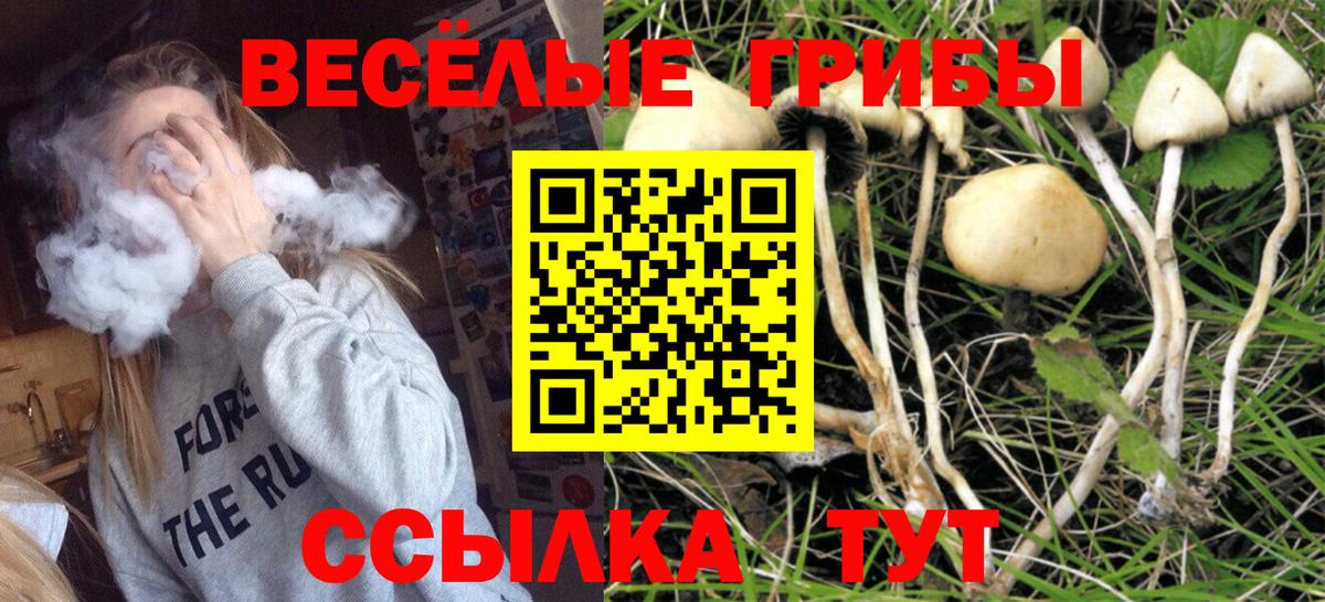 Псилоцибиновые грибы Psilocybine cubensis Белогорск