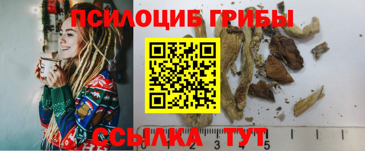 Галлюциногенные грибы GOLDEN TEACHER  Галлюциногенные грибы MAGIC MUSHROOMS  Белогорск  Вход с VPN 
